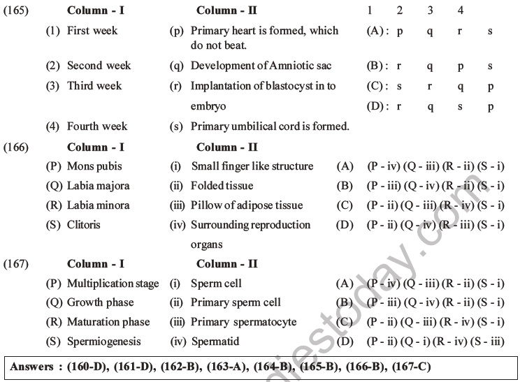 NEET Biology Human Reproduction MCQs Set A, Multiple Choice Questions